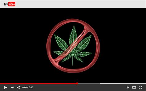 weed chanel deleted|YouTube Deletes Popular Weedtubers' Accounts .